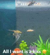 Kiss Fish GIF - Kiss Fish Angelfish GIFs