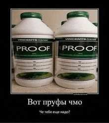 Proof пруф GIF - Proof пруф слит GIFs