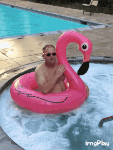 Flamingo Pool GIF - Flamingo Pool Party GIFs
