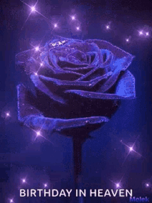 Rose Purple GIF - Rose Purple Sparkle GIFs
