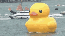 large duck cute giant duck huge duck