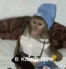 a monkey wearing a blue hat and a jacket is sitting on a bed .