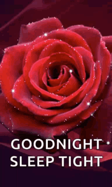 Goodnight Sparkles GIF - Goodnight Sparkles Sleep Tight GIFs