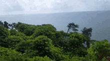 Nature Hill GIF - Nature Hill On Top GIFs