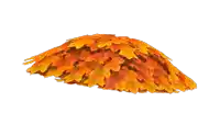 a pile of leaves on a white background