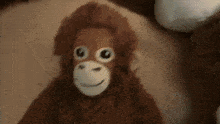 Monkey Plush GIF