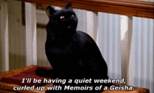 Salem Sabrina The Cat GIF - Salem Sabrina The Cat Quiet Weekend With Memoirs Of A Geisha GIFs