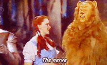 The Nerve GIF - The Nerve GIFs