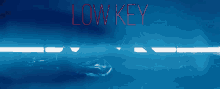allybrooke low key