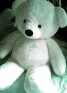 stuffed animal teddy bear bow hi hello