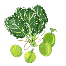 Watercolor Kale Recipe GIF - Kale Watercolor Food GIFs