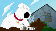 Family Guy Brian Griffin GIF - Family Guy Brian Griffin You Stink GIFs