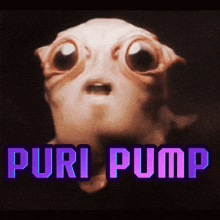 Puri Pump GIF - Puri Pump GIFs