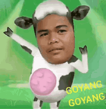 Cow Udders GIF - Cow Udders GIFs