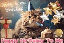 a birthday card with a cat wearing a party hat and balloons that says today is my birthday happy birthday to me