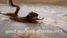 Good Morning Chipmonk GIF - Good Morning Chipmonk GIFs