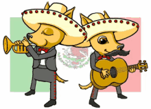 Mariachi Foxes GIF - Cinco De Mayo Foxes Mexican Fox GIFs