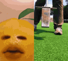Annoying Orange Dont Like This Video GIF - Annoying Orange Dont Like This Video Reaction GIFs