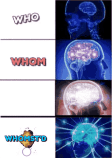 Meme Big GIF - Meme Big Brain GIFs