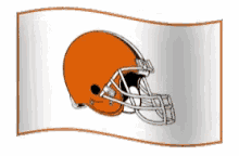 Browns Browns Win GIF - Browns Browns Win Cleveland Browns GIFs