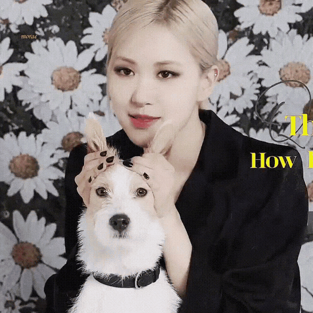 Hank Hank Blackpink GIF - Hank Hank Blackpink Rosé - Discover & Share GIFs