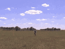 Laser Chase GIF - Laser Chase Funny GIFs