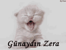 Günaydın Zera Zehra GIF - Günaydın Zera Zehra GIFs