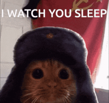 Russian Cat Funny Memes GIF - Russian Cat Funny Memes GIFs