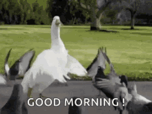Duck Dancing GIF - Duck Dancing Good Morning GIFs