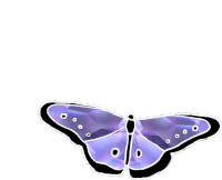 Butterfly Bug Sticker - Butterfly Bug Wings Stickers