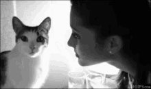 キス　猫　ねこ　ネコ GIF - Cat Cute Cat No Hooman GIFs