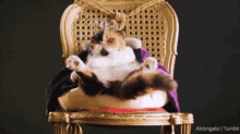 Cat Royal GIF - Cat Royal Crown GIFs