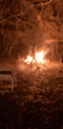 Fire Camping GIF - Fire Camping Cant Sleep GIFs