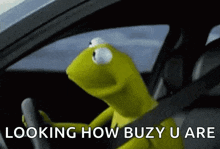 Kermit Drive GIF - Kermit Drive Traffic GIFs
