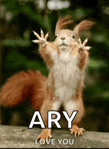 a picture of a squirrel with the words ary love you on it