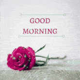 Good Morning Rose GIF - Good Morning Rose GIFs