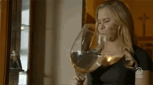 Amy Schumer Wine Glass GIF - Wi GIFs