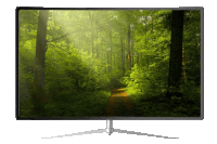 a computer monitor shows a forest with trees and shrubs