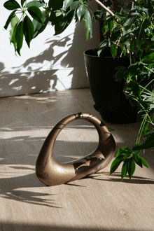 a sculpture is sitting on the floor next to a potted plant