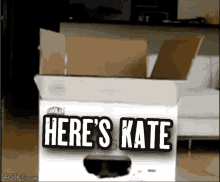 Heres Kate GIF - Heres Kate Vt GIFs