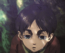 Eren Why Are You Crying GIF - Eren Why Are You Crying GIFs
