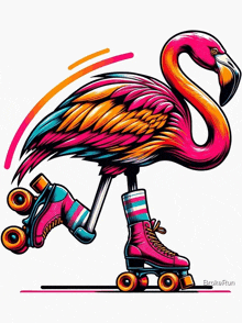 Skating - Flamingo GIF