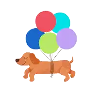 a dachshund is holding a bunch of balloons in its mouth