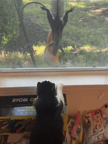 a cat looking out a window at a squirrel and a ryobi box on the window sill