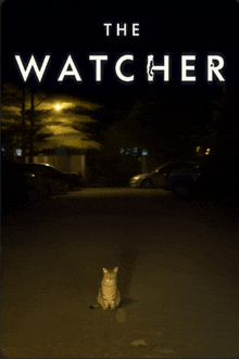 a poster for the watcher shows a cat sitting on the street