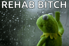 kermit the frog is looking out a window with the words rehab bitch written above him