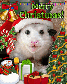 Christmas Opossum GIF - Christmas Opossum Possum GIFs