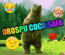 a bear standing in a field with the words orospu cocu safa surrounding it