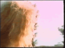 Led Zeppelin Robert Plant GIF - Led Zeppelin Robert Plant Excuse Me GIFs