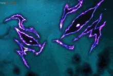 a blue background with purple lines that says animefly.net on the bottom